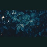 How Do I Battle Subtle Temptations to Lust?