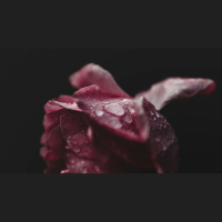 Wimpy Theology Makes Vulnerable Women