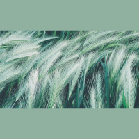 How Do I Know If the Holy Spirit Is in Me?