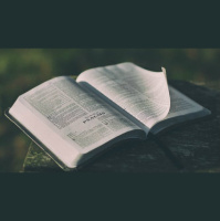 Do Promises in the Psalms Apply to Me?