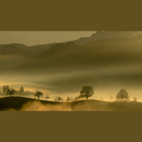 If God Is Sovereign, Are My Prayers Pointless?