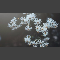 How Do I Pray for Healing and Honor God’s ‘No’?