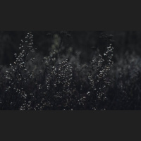 Escape the World’s Infatuation with Sex