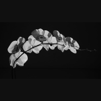 Why Would God Create a Baby to Live for Two Minutes?