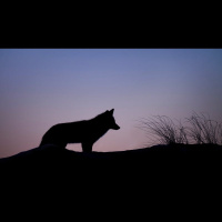 Should We Call Out False Teachers or Ignore Them?