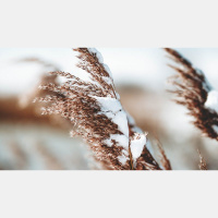 Everything Made Meaningful