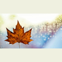 Is This Life Too Short to Determine Our Eternal Destiny?