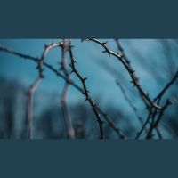 Christ’s Death Was No Accident