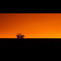 Charismatic Abuses? Doctrinal and Emotional 