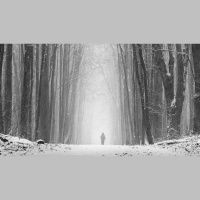 Your Suffering Is Not Meaningless