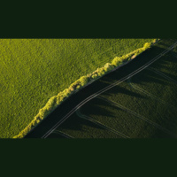 What Makes Christian Love Different?