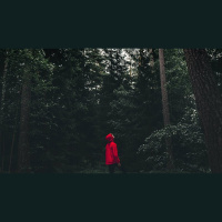 Is God Sovereign over My Free Will?