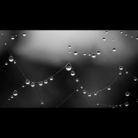 How Do I Respond to Blasphemous Thoughts? 