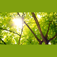 How Do I Go Deeper with Christ?