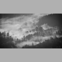 Anxiety: Sin, Disorder, or Both?