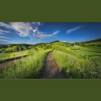 Appreciating Creation While Anticipating New Creation