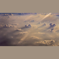 Will Some People in Heaven Have More Joy Than Others?