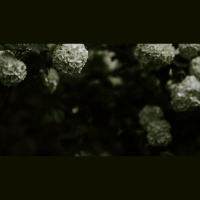 Will I Suffer More If I Follow Jesus?