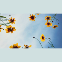 Six Reasons Jesus Left Earth After Easter