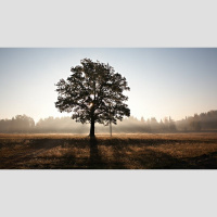 How Has C. S. Lewis Influenced You?