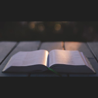 How Can I Make Daily Bible Reading Authentic?