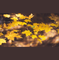 Why Eternal Security Needs Community