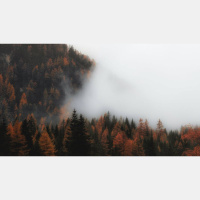 The Secret to Fighting Anxiety