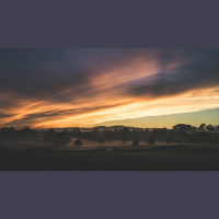 Three Reasons to Read the Bible Every Day in 2019