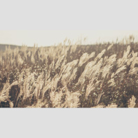 Do Angels Walk Among Us Today?