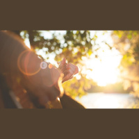 Sing to the Lord, Alone