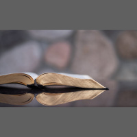 Can I Believe the Whole Bible and Not Be Elect?