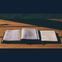 How Do I Follow Big Sections of Scripture?