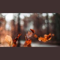 The Glorious Duty of Thanksgiving