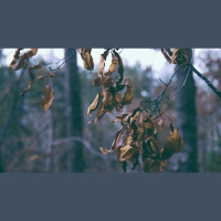 Fighting for Joy in Pastoral Ministry