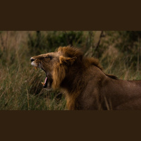 How Can Satan Harm Christians?