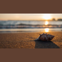 Reflections on the Seashells Sermon, 18 Years Later