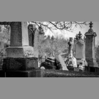 Cremation or Burial?