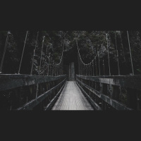 If Our Will Is Not Free, Are We Accountable?