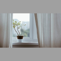 How to Win the War for Morning Devotions