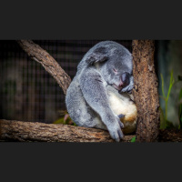 How Much Sleep Is Too Much Sleep? 