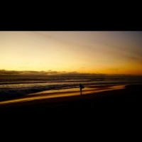 Affections and Emotions