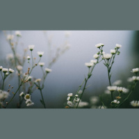 How Can I Jumpstart My Prayer Life?