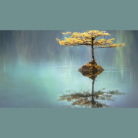 What Does It Mean to Be Made in God’s Image? 