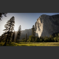 Can We Reconcile Creation and Evolution?