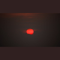 Why Did Jesus Choose Judas?