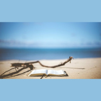 Stranded on a Desert Island, What Books Do You Bring?