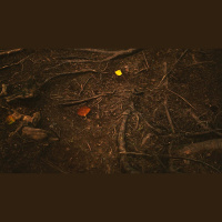 Why Did Jesus Use Spit and Mud to Heal?