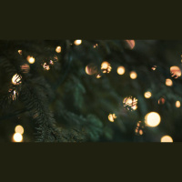 Four Reasons Christmas Is Special