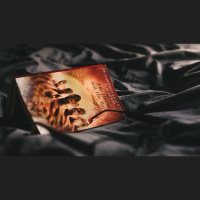 How Did Lewis Prepare You for Edwards?