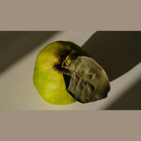 Four Tests for False Teaching